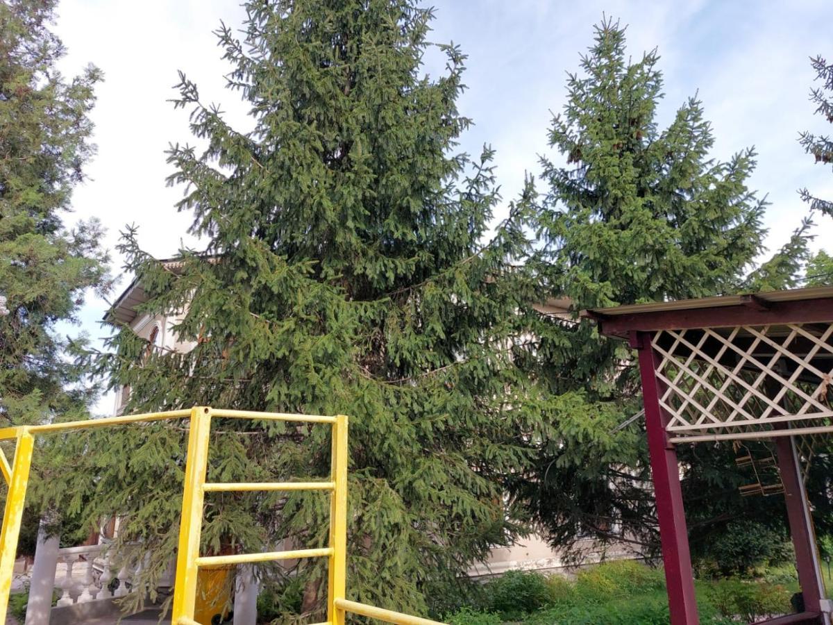 Room Hostel Dostyk Almaty Ngoại thất bức ảnh